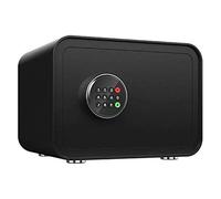 RLKHXBS Wall s Cabinet s Diversion s Biometric with Keypad Office or Use Wall or Floor Mounted Passport Alarm System