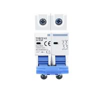 RLZQSGOT Interruttore Automatico Solare 2P DC 1000V 3A 6A 10A 16A 20A 25A 32A 40A 50A 63A DC MCB for impianto fotovoltaico 1 pz(6 Years)