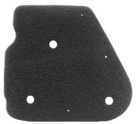 RMS 10 060 0031 Filtro aria