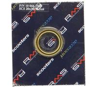 RMS 10 066 1900 Paraolio albero a gomiti