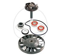 KIT REVISIONE POMPA ACQUA RMS PER MALAGUTI PHANTOM MAX 200 2003
