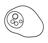 Rms Classic Kit Di Guarnizioni Olio Piaggio Vespa P X T5 Vlb Vbb 100709033