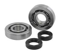 Rms Kit revisione albero motore RMS Piaggio 50cc