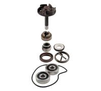 RMS Kit revisione pompa acqua Beverly 250-04/05 Water pump set Beverly 250-04/05