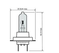 Rms Lampadina H7 12v 55w 246510112 10 Unità