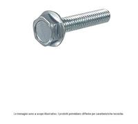 RMS Pack da 10 viti a testa esagonale con flangia zincate M5X12 121.859.176