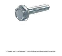 RMS Pack da 10 viti a testa esagonale con flangia zincate M8X40 121.859.191