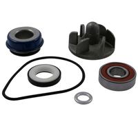 RMS r100110180 reparaturkit pompa acqua