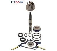 RMS Riparazione delle pompe idrauliche Kit per il motorino