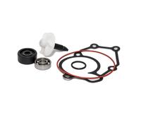 RMS Riparazione delle pompe idrauliche Kit per il motorino
