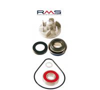 RMS Riparazione delle pompe idrauliche Kit per il motorino
