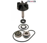 RMS Riparazione delle pompe idrauliche Kit per il motorino