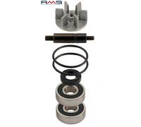 RMS Riparazione delle pompe idrauliche Kit per il motorino