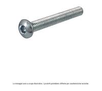 RMS Vite a testa bombata con esagono interno ISO 7380 M5X35 121.850.530