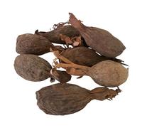 RMY Manigetto intero, Baccello di peperoncino Guinea, (semi di paradiso) peperoncino alligatore o pepe alligator-6/ PCS -50 GR