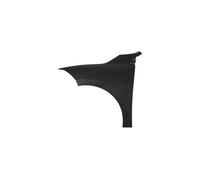 RN4243004 parafango anteriore sinistro per Renault Megane 11/08-02/16