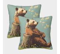 RNDKAUUIE Orso bruno Federe Cuscini Divano 2 Pack Copricuscini Divano Orso carino Fodera Per Cuscino Moderni Decorativi Copricuscini Moderna Fodere Federa Per Soggiorno Sedia Divano 45x45cm