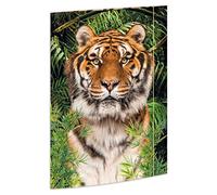 RNK Verlag 45367 - Cartella da disegno Tiger 310 x 440 mm, cartella per documenti DIN A3, con elastico di chiusura, 1 pz.