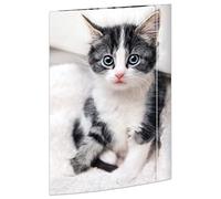 RNKVERLAG 45331 - Cartella per disegni cat 310 x 440 mm DIN A3, con elastico, 1 pz.