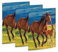 RNKVERLAG 45353-3 - Cartella per disegni Free Horses 310 x 440 mm, 3 pezzi, DIN A3, con elastico di chiusura