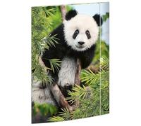 RNKVERLAG 45376 - Cartella per disegni Panda 310 x 440 mm, cartella per documenti DIN A3, con chiusura elastica, 1 pezzo