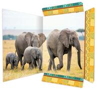 RNKVERLAG 45377 - Cartella per disegni elefante 310 x 440 mm, cartella per documenti DIN A3, con chiusura elastica, 1 pezzo