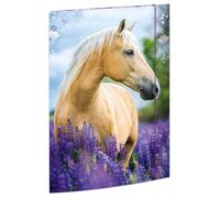 RNKVERLAG 45381 - Cartella per disegni sogni di cavallo 310 x 440 mm, cartella per documenti DIN A3, con chiusura elastica, 1 pezzo
