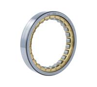 RNU1017-XL-M1A FAG/Schaeffler Technologies 96,5 x 130 x 22 mm CYL. ROLL. SING...