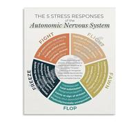 RNUMLIGH Autonomic Nervous System Chart Stress Response Diagram Educational Metal Sign for Therapists Counselors Psychology Office Decor 8 X 12 in