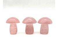 RNUMLIGH Bellissimo cristallo di pietre lucide di fungo di cristallo di quarzo rosa rosa naturale grande da 1 confezione cristalli e pietre
