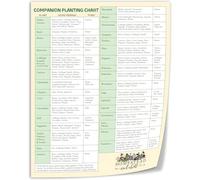 RNUMLIGH Companion Planting Chart Vegetable Garden Layout Guide Combinations Reference For Gardeners Gardening(Unframed,08x12inch(20x30cm))