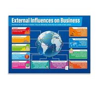 RNUMLIGH Economics & Business Poster, External Influences Educational Reference Chart, Laminated for Teaching and Corporate Training(Framed,12x18inch(30x45cm))