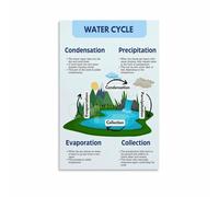RNUMLIGH Educational Home Decor - Water Cycle Science Poster Canvas Print for Room, Study & Nature Inspired Wall-Art(Framed,16x24inch(40x60cm))