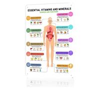 RNUMLIGH Essential Vitamins Minerals Daily Intake Metal Sign Educational Quick Reference Visual Aid for Beginner Healthy Eating Journey 8 X 12 inch