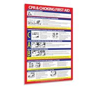 RNUMLIGH First Aid Information Poster - Quick Guide to CPR and Choking, Laminated Chart for Home & Office Use(Unframed,16x24inch(40x60cm))