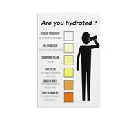 RNUMLIGH Health and Wellness Chart Canvas Wall-Art Poster Educational Guide for Hydration Awareness Bathroom or Office Decor Water Info(Framed,12x18inch(30x45cm))