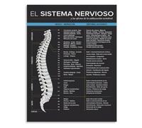 RNUMLIGH Human Spine Metal Sign Nerve Pathway Dermatome Myotome Reflex Mapping Guide for Nursing Student Clinical Training Wall-Art 8 X 12 inch