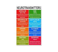 RNUMLIGH Mental Health Awareness Poster Neurotransmitter Chart Educational Brain Chemistry Metal Sign Wall Decor for Students Therapists Office Library Study Room 8 X 12 inch