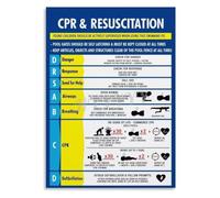 RNUMLIGH Swimming Pool CPR Instructions Metal Tin Sign Emergency Response Guide Wall Decor Rustic Vintage Look 8 X 12 inch