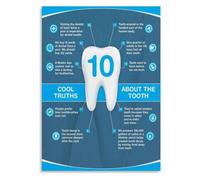 RNUMLIGH Ten Cool Tooth Facts Poster Engaging Decor for Hygienists | Display surprising information that promotes better care habits.(Framed,16x24inch(40x60cm))