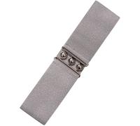 Ro Rox Cintura Donna Larga Elastica in Vita Stile Retrò Vintage - Cintura Stretch per Abiti, Anni 50 - Fibbia Argento o Oro - Taglie 44-48 - Argento (Medium)