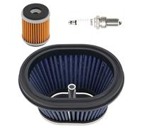Road Passion 1*Filtri Aria & 1*Filtro Olio & 1*Candele di accensione Kit Compatibile con Yamaha Raptor 250 YFM250R 2008-2013
