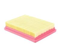 Road Passion 1 pezzo Filtri Aria AP8104329 Compatibile con CAN-AM Ryker 900 Euro5 ABS 2022-2023 / Ryker 900 Sport Euro5 ABS 2022-2023 / Spyder 1000 RS SE5 Halbautomatik ABS 2014-2016