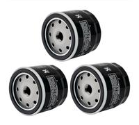 Road Passion 153 Filtro Olio 090549960 444.4.003.4A 444.4.003.5A 444.4.003.8A 444.4.017.1A Compatibile con Ducati 1000 DS 1098 1099 1100 1198 1200 1260 1262 350 400 600 620 696 748 800 900(3 pezzi)