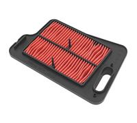 Road Passion Filtri Aria 13781-05H00-000 Compatibile con Suzuki Scooter AN400 K7,K8,K9,L0,L1,L2,L3,L4,L5,L6 BURGMAN 400 2007-2016/ AN400 A K9,L0,L1,L2,L3,L4,L5,L6 BURGMAN 400 2009 2010 2011 2012-2016