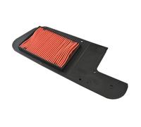 Road Passion Filtri Aria 17210-KFG-000 17210-KFG-860 17210-KPB-640 Compatibile con Honda FES250 FORESIGHT 2001-2002 2005 1998 1999 2000/ NSS250 JAZZ ES 2003-2004/ NSS2501 JAZZ 2001