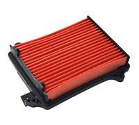 Road Passion Filtri Aria 17210-KW3-000 Compatibile con Honda NX250 Dominator 250 1988 1989 1990 1991 1993/ AX-1 NX250 1988 1989 1990 1991 1992 1993 1994 1995