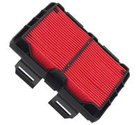 Road Passion Filtri Aria 17220-KZZ-900 17220-KZZ-J00 1-003-178-712 Compatibile con Honda CRF250 M 2014/ CRF250 RLAH 2017/ CRF250 RLAJ CRF250R 2018/ CRF250 RLAK CRF250 Rally 2019