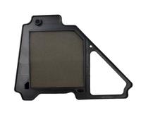 Road Passion Filtri Aria 5VL-E4450-10-00 5VL-E4450-12-00 5VL-E4450-11 5VL-E4450-13 Compatibile con Yamaha YBR125 2005-2016/ YBR125 Custom 2009-2016/ YBR125ESD 2008 2010 2011 2012 2014 2018 2022