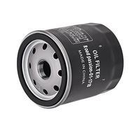 Road Passion Filtri olio HF171B - Filter Compatibile per HARLEY FLDE Deluxe 2018 FLFB Fat Boy 2018 FLFBS Fat Boy 2018